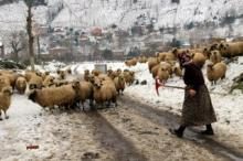 KAR EN FAZLA ÇOBANLARI ETKİLEDİ.