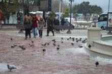 GÜVERCİNLERİ KIŞ AYINDA VATANDAŞLAR BESLİYOR