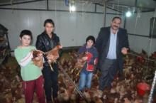 İLGİNÇ "YÜRÜYEN TAVUK, GEZEN TAVUK" PROJESİ