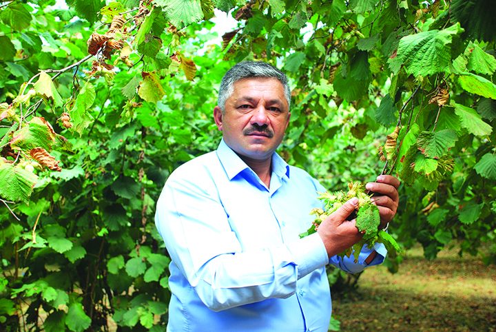 Serbest piyasaya bir tepki de Soydan'dan!