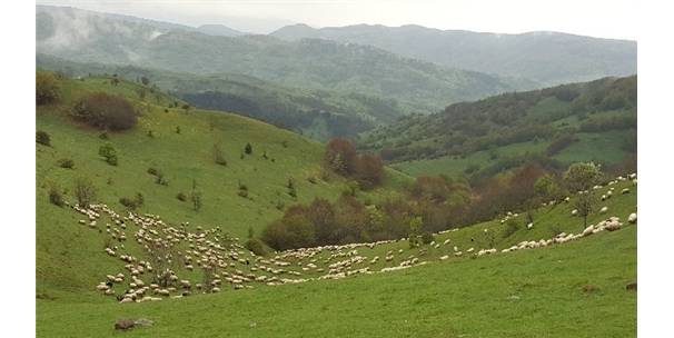 Başkan Yılmaz Yeni Ordu stadını inceledi