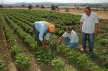 Tarımda yaşanan sorunlar tartışıldı