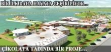 ULAŞIM İÇİN SAĞLIKLI YOLLAR