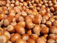 ERKEN ÜRÜN TOPLAMA ÜRETİCİNİN ZARARINA