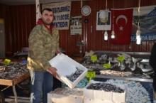 HAMSİ EN ÇOK RAĞBET GÖREN BALIK